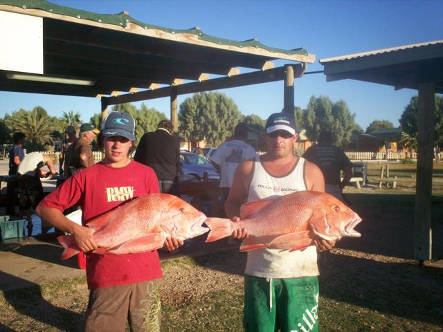 dan south and scotties reds