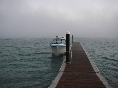 foggy kalbarri