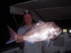 21st - Pink Snapper