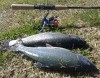 Trout fishing @ Golden Ponds