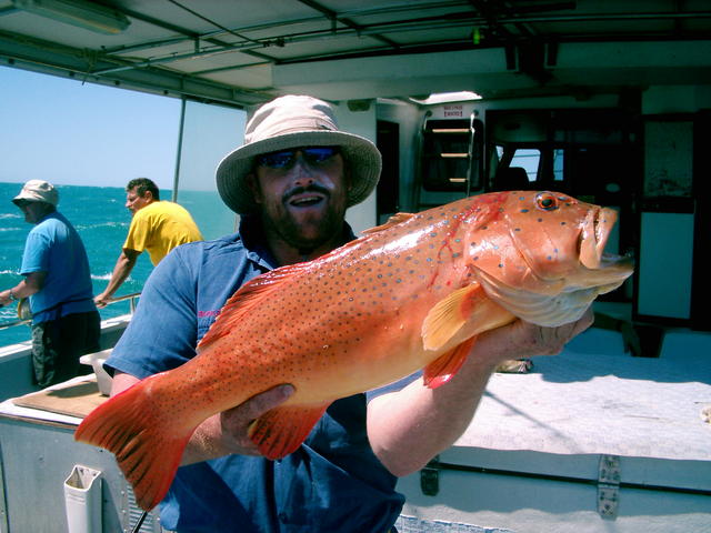 Trout from Monte's