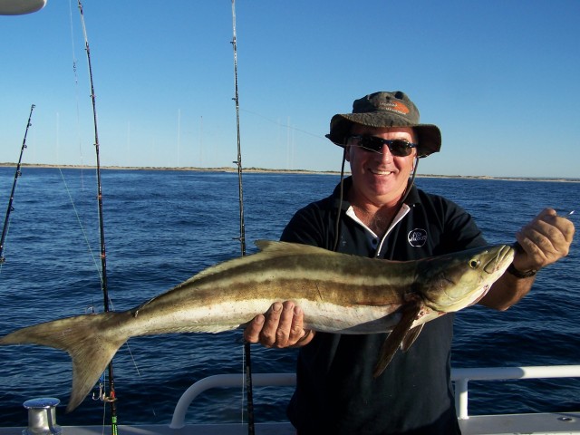 Ab's Cobia