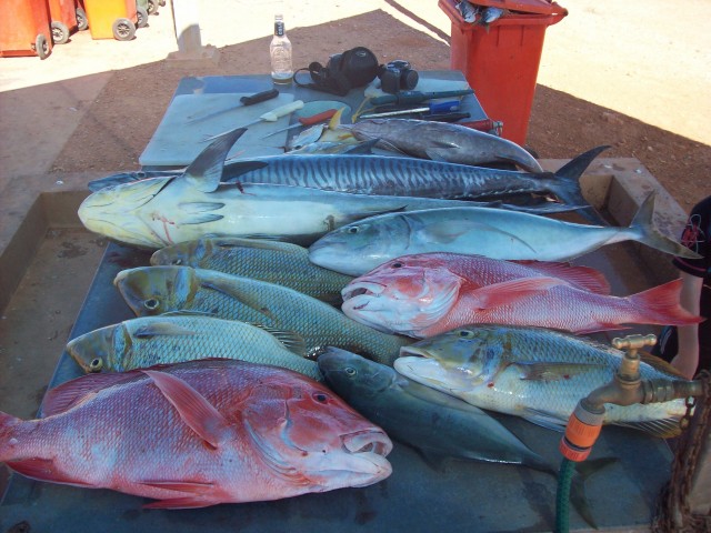 Sunday's Catch Exmouth