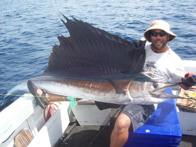 Exxy Sailfish