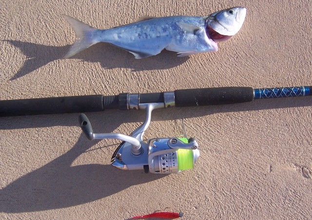 Tailor At Lancelin