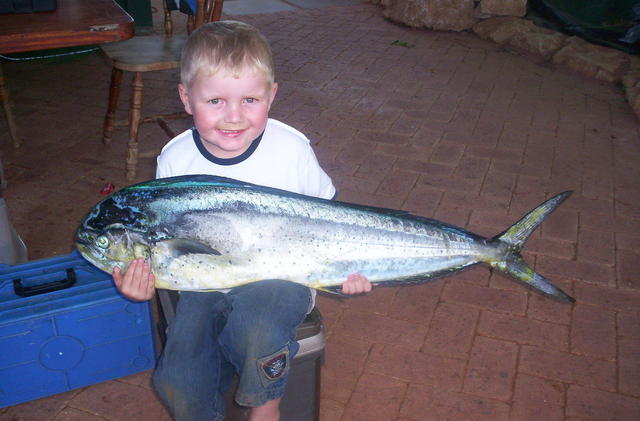 EXMOUTH  MAHI