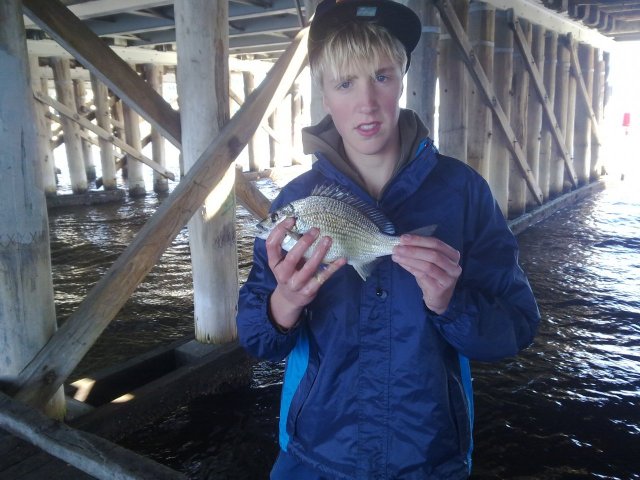 canning bridge bream