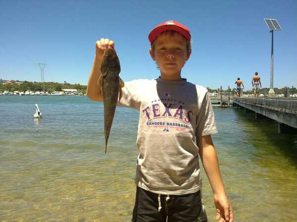 41cm flathead swan river 