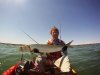 Giant Herring on Yak