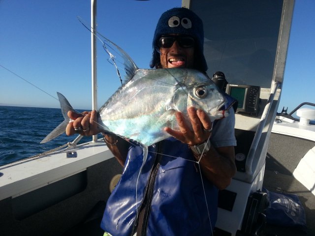 pennant trevally