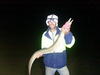 murchison river pike eel