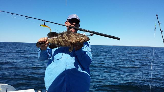 monkey mia estuary cod 15 april 2014