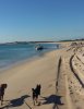 bunbury boat ashore 1