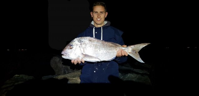 North mole pink snapper