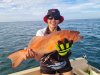 Nice coral trout