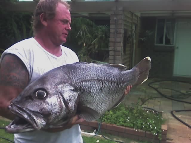 mandurah fishing