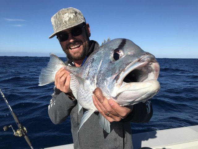 Nice dhu off Mindarie 