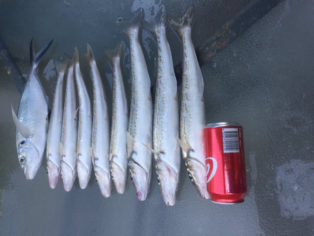 Saturday’s Catch