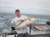 Lemax SlimMax amberjack