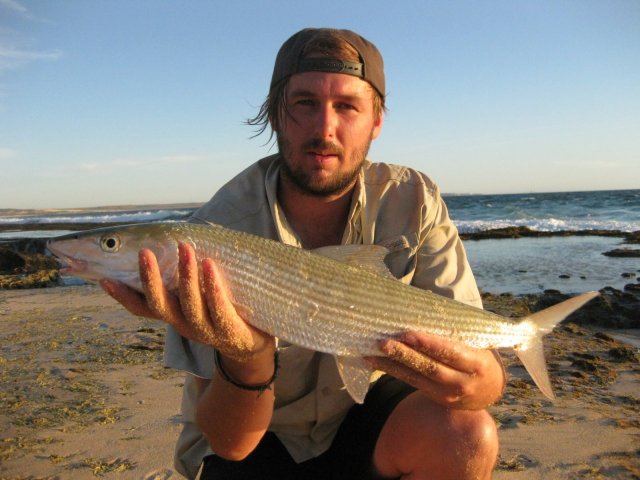 First bonefish