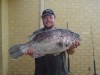 14kg Dhuie ex Bunbury