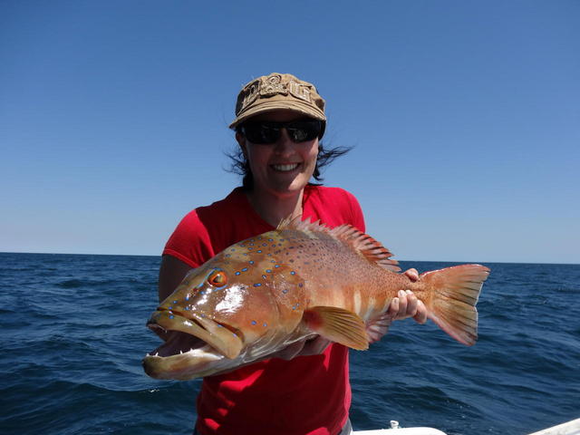 Amanda's Onslow Trout