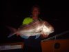 pink snapper at night