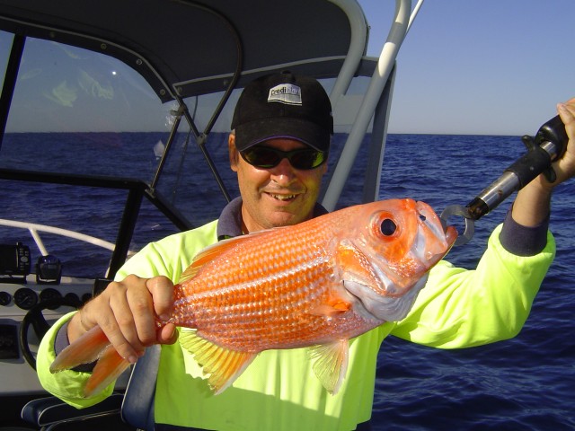 PB Red Snapper