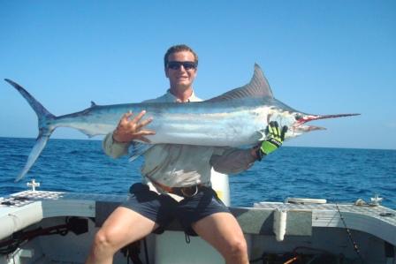 2nd marlin a bit bigger 