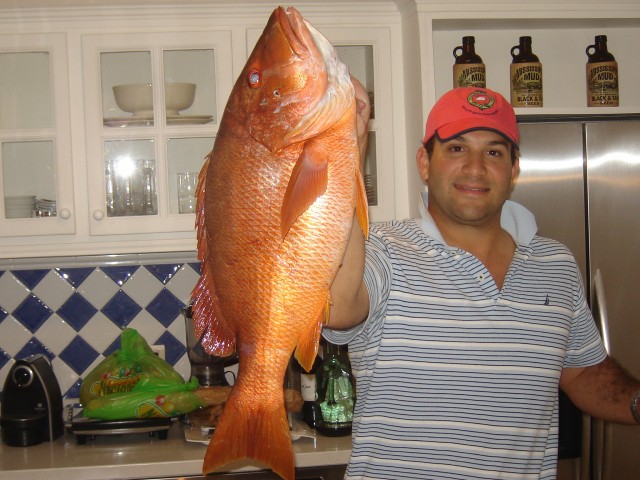 15 Pound Snapper