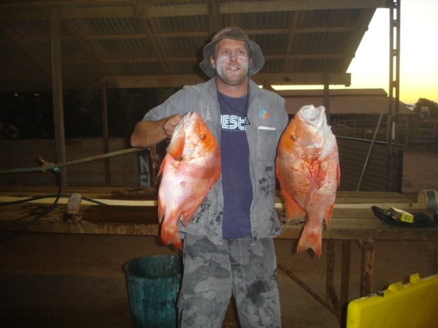 A few little Gnarly Reds