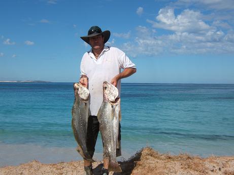 Geraldton Mulloway