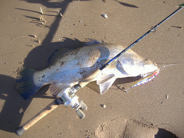 It's on! first barra for the season