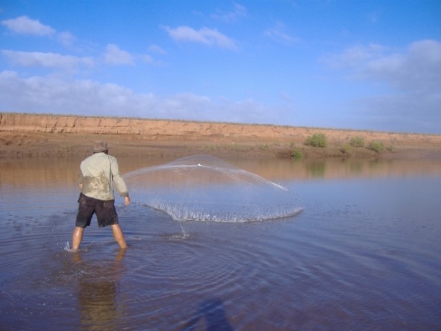 Daisy on the cast net