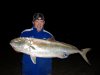 20kg beach Amberjack or sambo