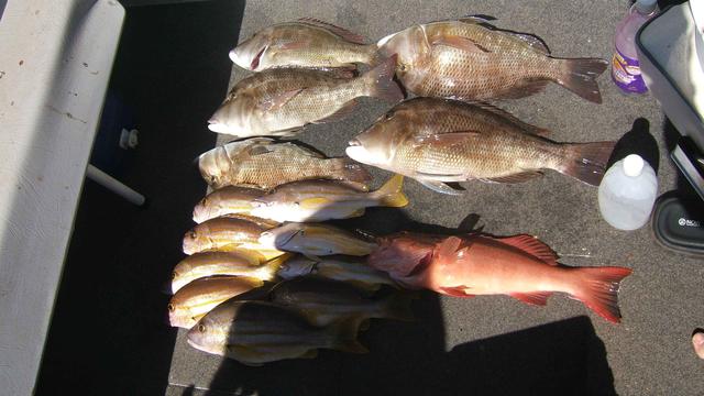 Mixed bag