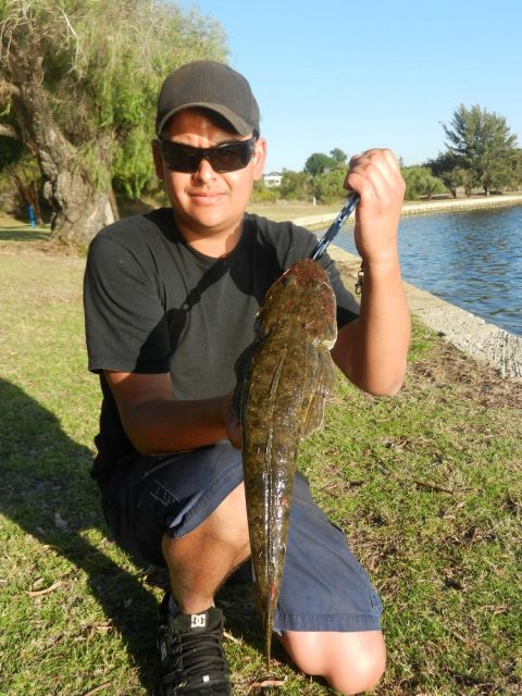 canning lizzzard