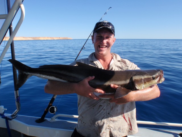 Turtle Island fishing/Sharks Bay