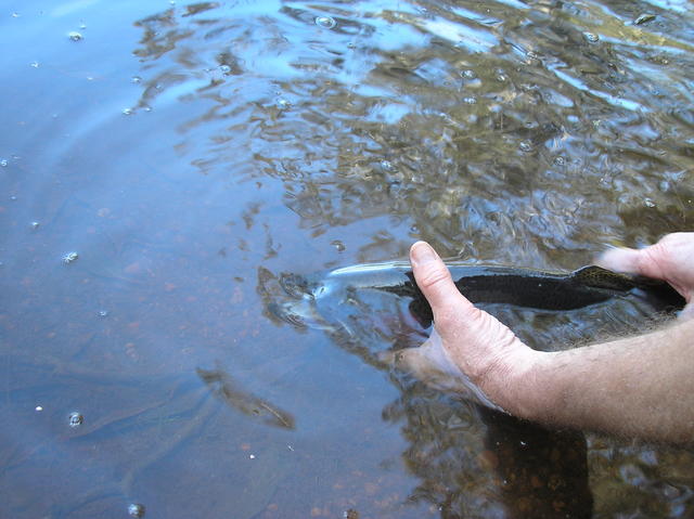 releasing nice rainbow