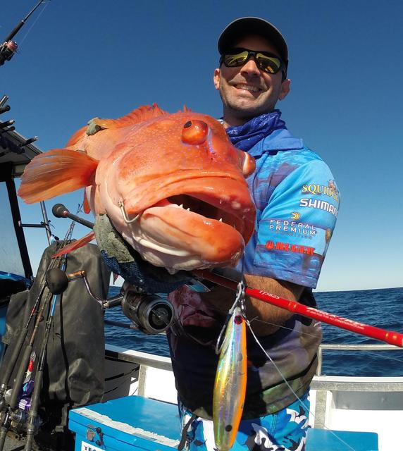 PB Coral Trout