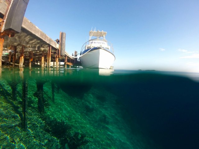 Abrolhos 