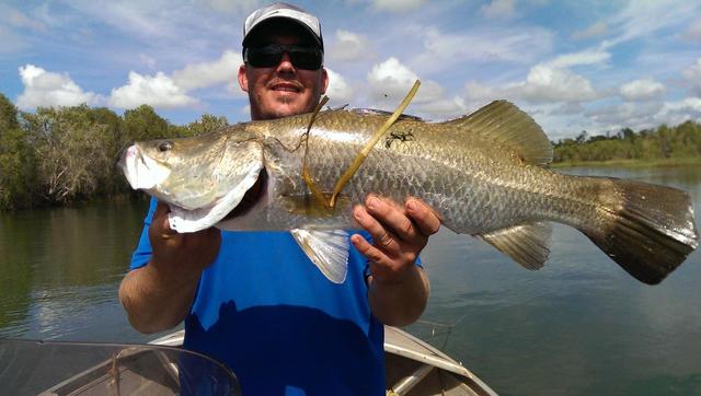 Barramundi