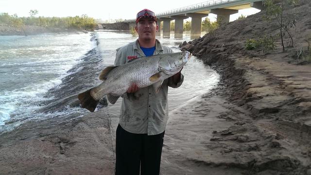 90cm Barramundi