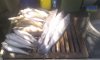 whiting haul