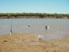 Boys having a swim