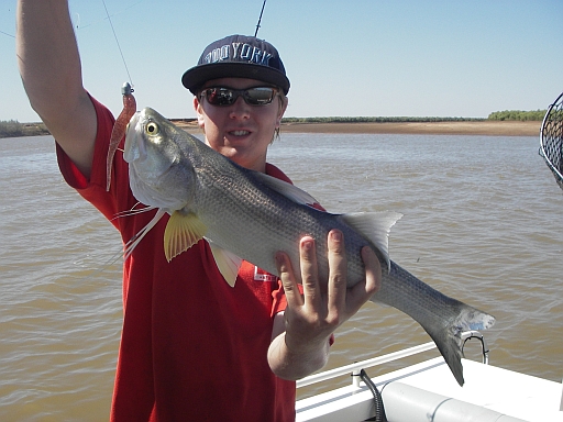 Threadfin Salmon on SP