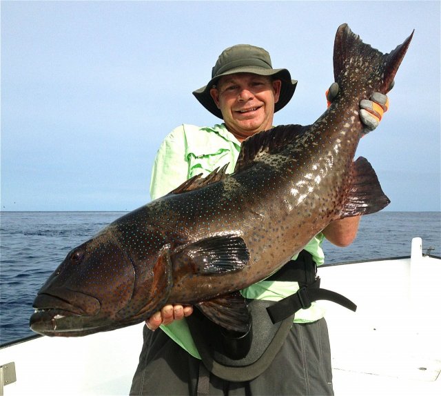 New Caledonia Coral Trout