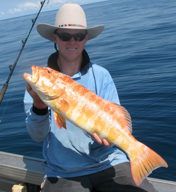 Hedland Bar-Cheek Coral Trout