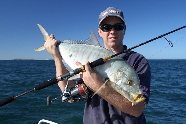 Golden Trevally