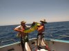 Another happy customer with a Dolphin Fish (Mahi Mahi) aboard the Mahi Mahi 11